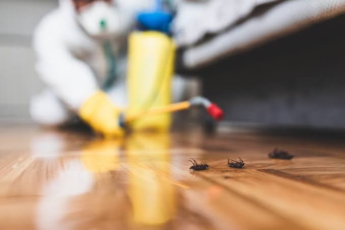 Cockroach Control