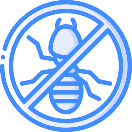 Termite