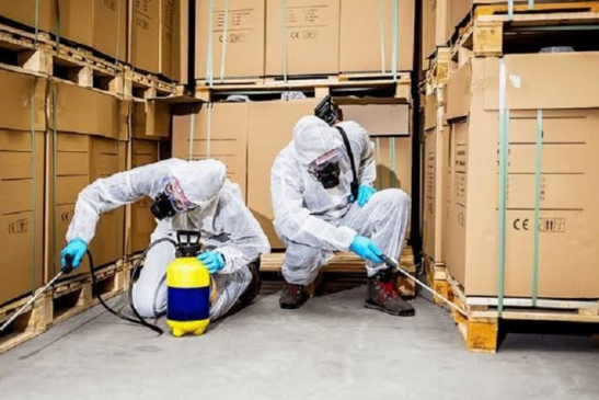 Commercial Pest Solutions