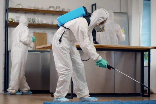 Residential Pest Control