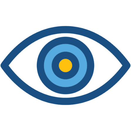 Vision